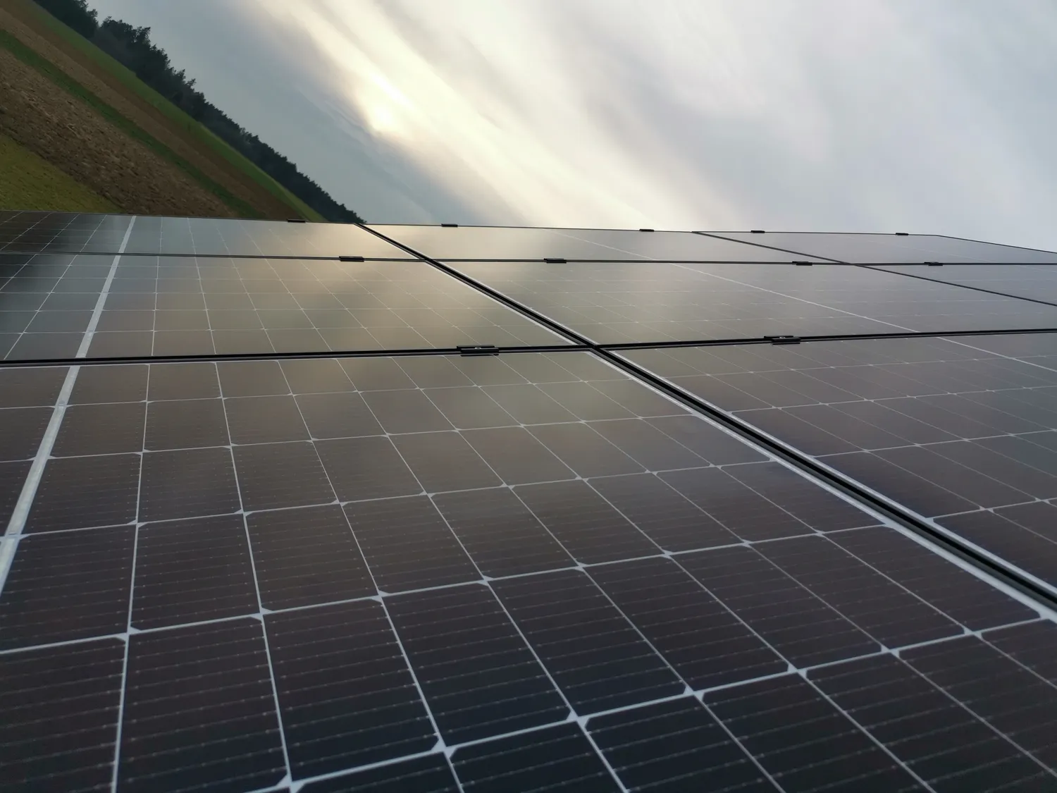 Referenzbild [object Object]